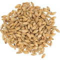 Maris Otter Pale Ale Malt - Bairds