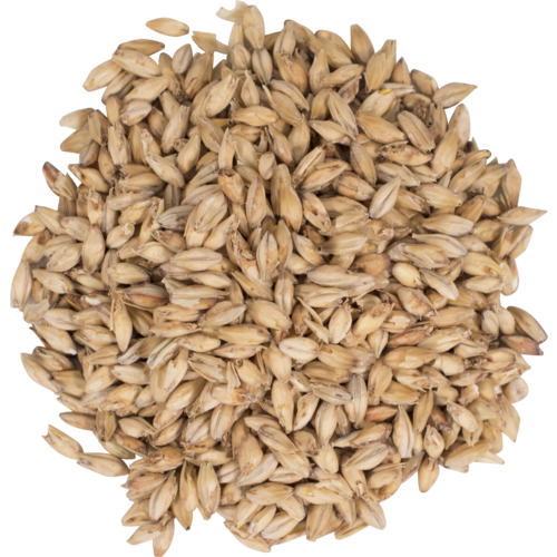 Pale Ale Malt - Briess
