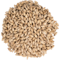 Golden Promise Malt - Simpsons