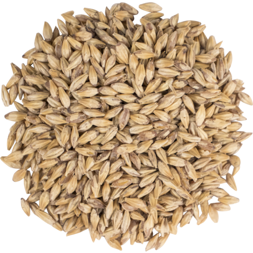 Carapils Malt - Briess