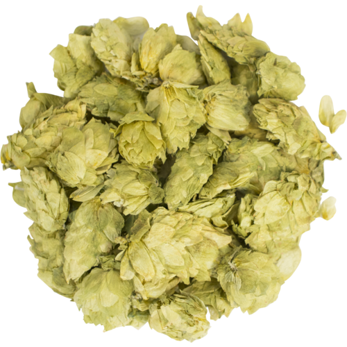 Amarillo Whole Cone Hops