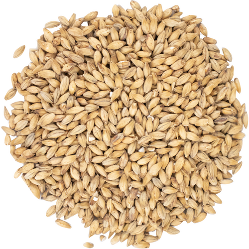 Pilsen Malt - Viking Malt