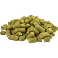 German Perle Hops