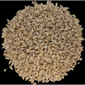 Pilsen Malt - Briess