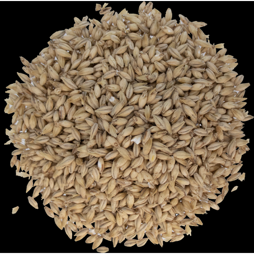 Pilsen Malt - Briess