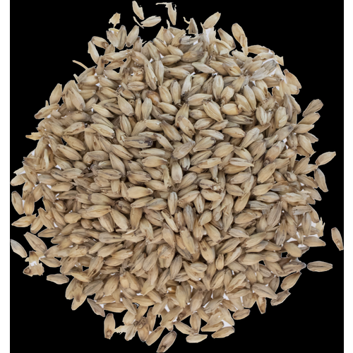 6-Row Malt - Rahr