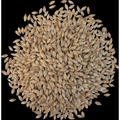 Floor Malted Maris Otter - Crisp