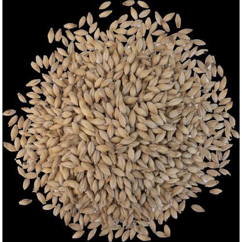 Floor Malted Maris Otter - Crisp