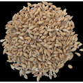 Goldpils Vienna Malt - Briess