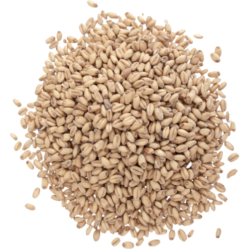 White Wheat Malt - Briess