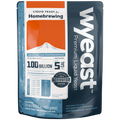 Wyeast 1084 Irish Ale Liquid Yeast
