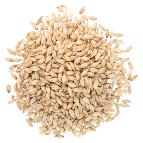 2-Row Malt – Briess