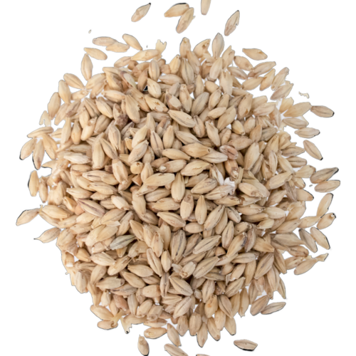 German Pilsner Malt - Weyermann